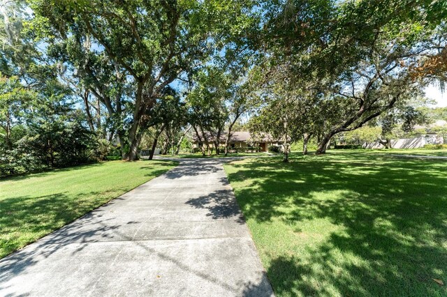 11307 Sandpine Rd, Riverview, FL 33569 - view of property's community featuring a yard