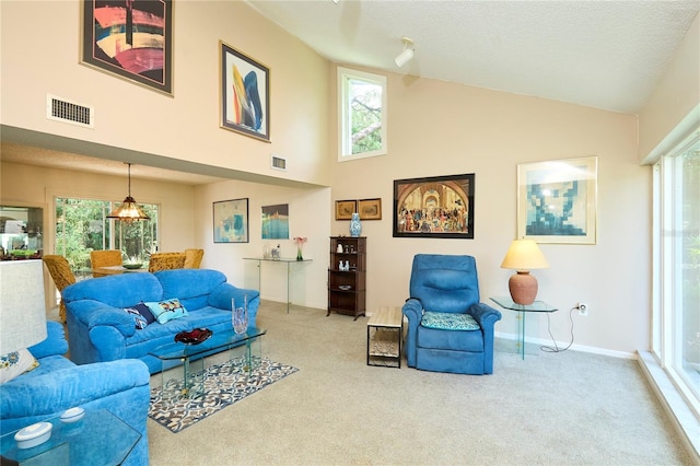 15917 Dover Cliffe Dr, Lutz, FL 33548 - living area featuring carpet floors, high vaulted ceiling, and a textured ceiling
