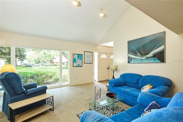 15917 Dover Cliffe Dr, Lutz, FL 33548 - living room with carpet flooring and high vaulted ceiling