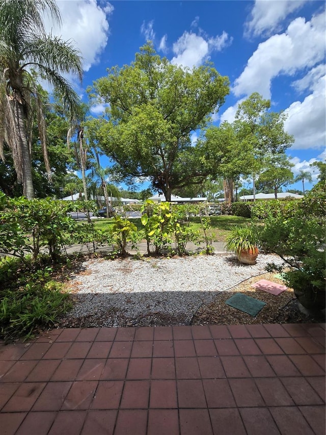 8300 Bardmoor Blvd Unit 110, Seminole, FL 33777 - view of patio