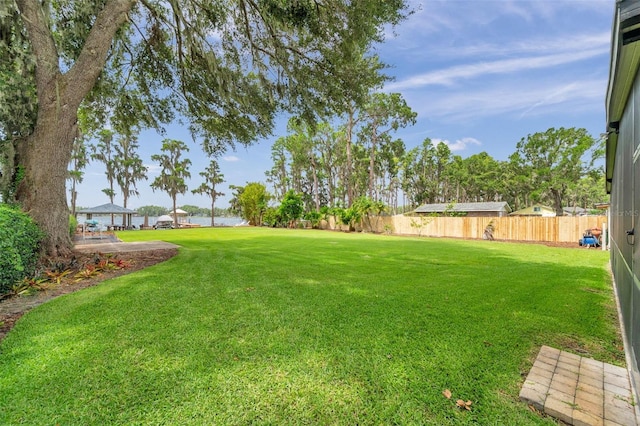 21906 Shamu Dr, Land O Lakes, FL 34639 - view of yard