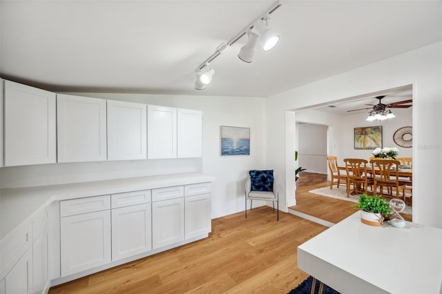 21906 Shamu Dr, Land O Lakes, FL 34639 - living area featuring a ceiling fan, light wood-style flooring, and track lighting