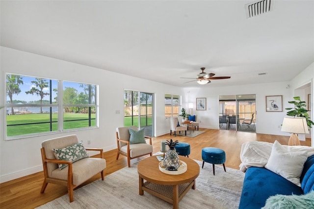 21906 Shamu Dr, Land O Lakes, FL 34639 - living area with plenty of natural light, a water view, a ceiling fan, and light wood-style flooring