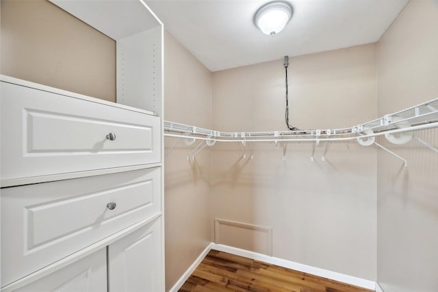 21906 Shamu Dr, Land O Lakes, FL 34639 - walk in closet with wood finished floors
