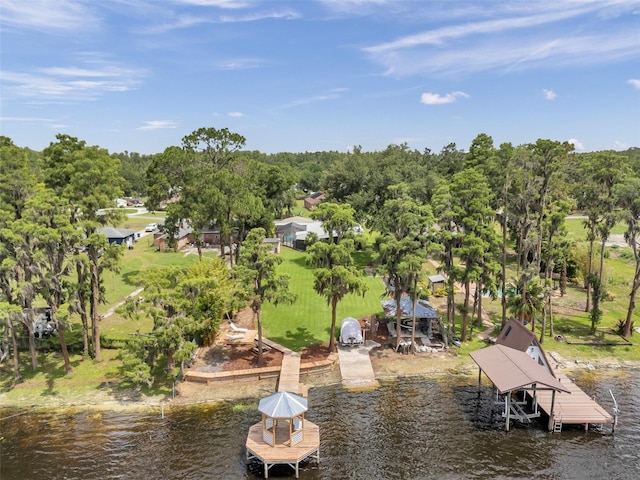 21906 Shamu Dr, Land O Lakes, FL 34639 - dock with a water view and view of wooded area