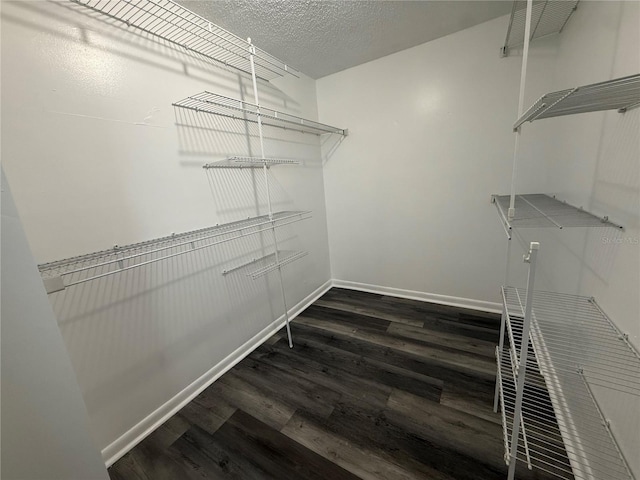 7347 W Pocahontas Ave, Tampa, FL 33634 - photo 12