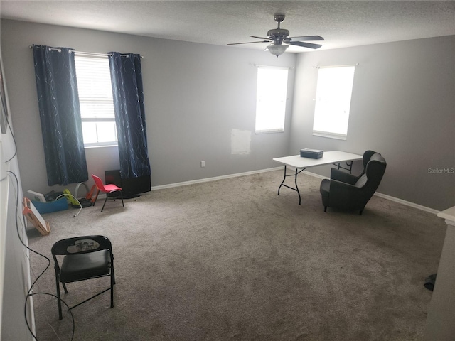 1753 Open Field Loop, Brandon, FL 33510 - unfurnished room featuring ceiling fan, carpet flooring, and a textured ceiling