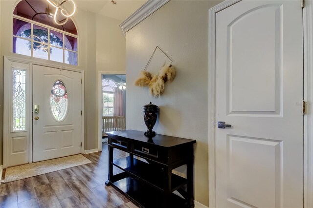 28826 Windover St, Wesley Chapel, FL 33545 - photo 63
