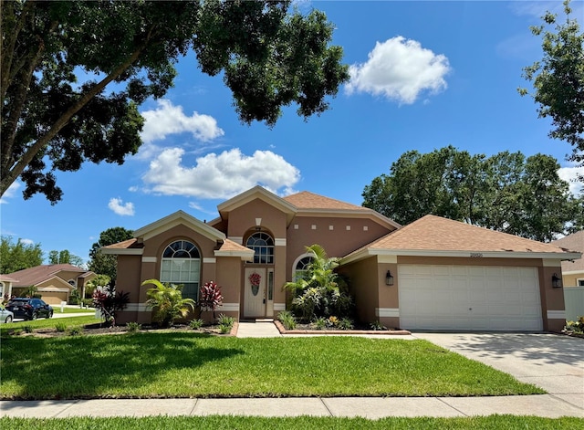 28826 Windover St, Wesley Chapel, FL 33545 - photo 83