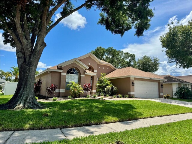 28826 Windover St, Wesley Chapel, FL 33545 - photo 84