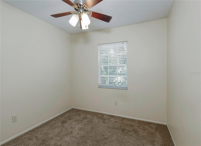 945 Hamilton Ct, Palm Harbor, FL 34683 - unfurnished room featuring carpet and ceiling fan