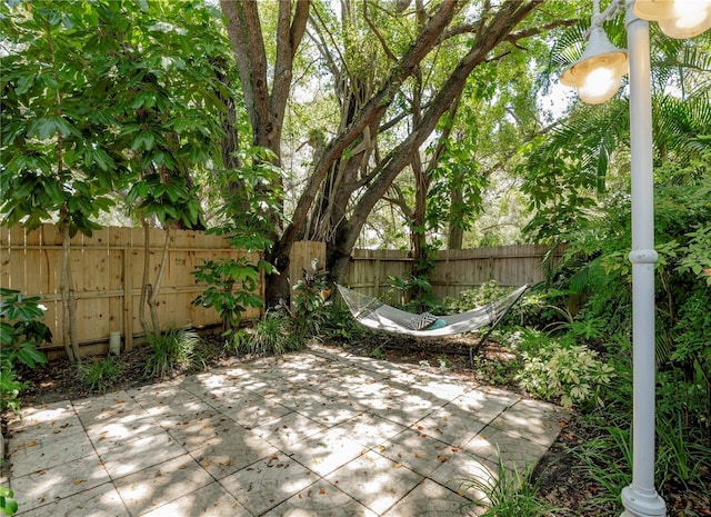 945 Hamilton Ct, Palm Harbor, FL 34683 - fenced backyard featuring a patio area