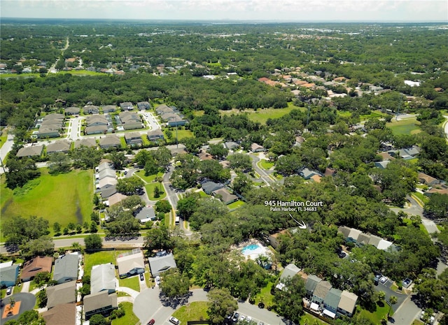 945 Hamilton Ct, Palm Harbor, FL 34683 - aerial view of residential area
