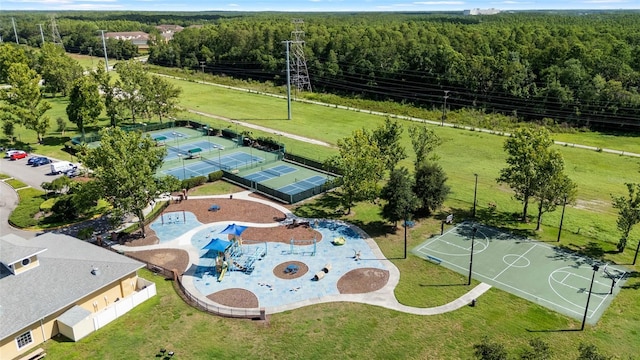 4920 Anniston Cir, Tampa, FL 33647 - aerial view of a forest