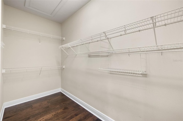 4920 Anniston Cir, Tampa, FL 33647 - spacious closet with wood finished floors