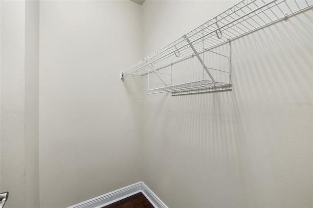 4920 Anniston Cir, Tampa, FL 33647 - spacious closet with dark wood-style floors