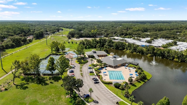4920 Anniston Cir, Tampa, FL 33647 - aerial view of a pool area and a nearby body of water