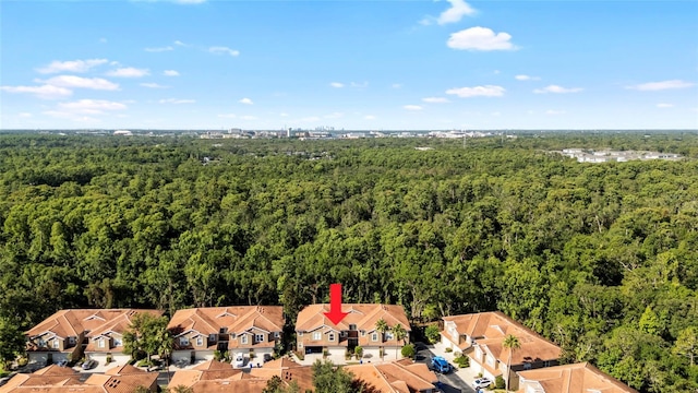 4920 Anniston Cir, Tampa, FL 33647 - aerial perspective of suburban area featuring a heavily wooded area