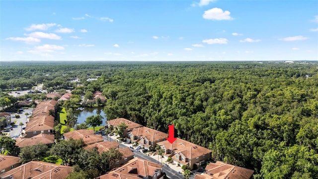 4920 Anniston Cir, Tampa, FL 33647 - aerial view of residential area featuring a forest