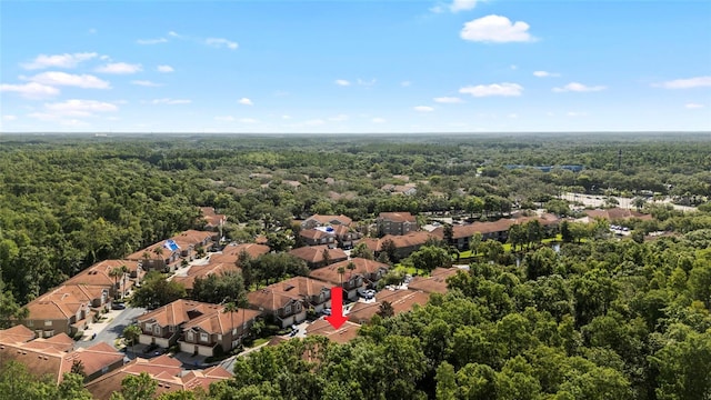 4920 Anniston Cir, Tampa, FL 33647 - aerial view of residential area with a forest