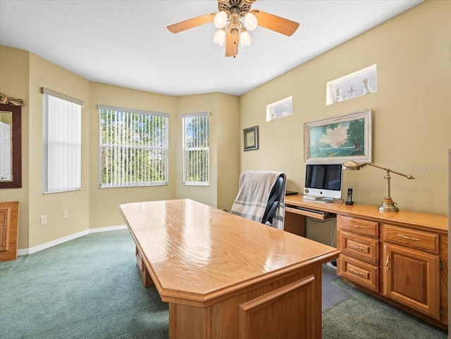 7606 Berna Ln, Land O Lakes, FL 34637 - office with dark colored carpet and ceiling fan