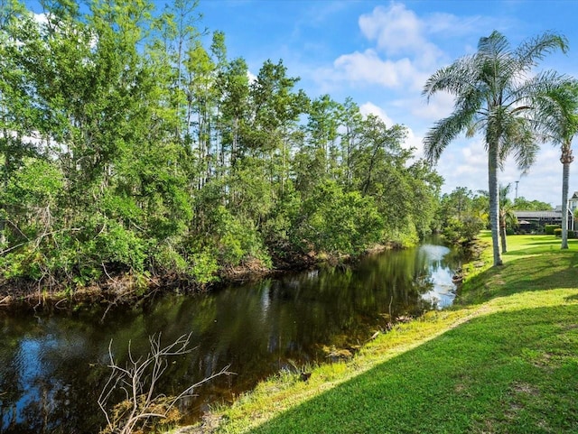 7606 Berna Ln, Land O Lakes, FL 34637 - water view