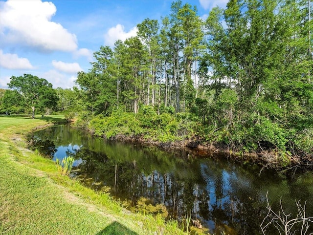 7606 Berna Ln, Land O Lakes, FL 34637 - water view