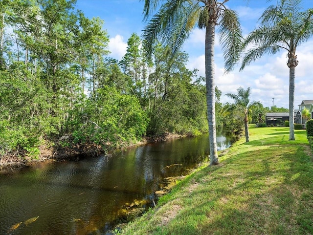 7606 Berna Ln, Land O Lakes, FL 34637 - water view