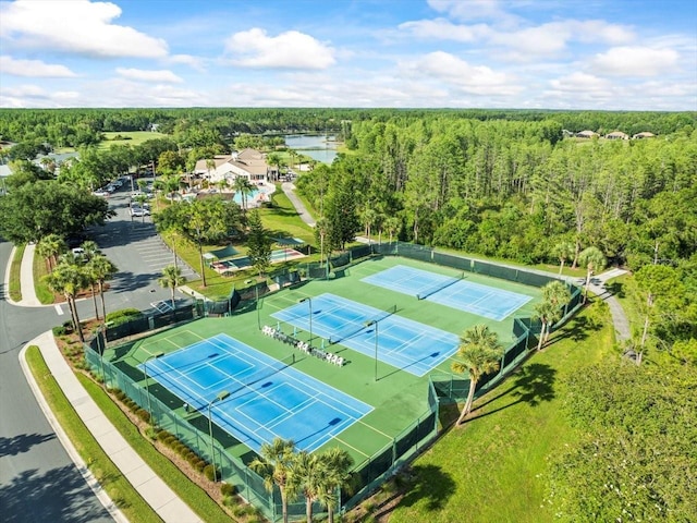 7606 Berna Ln, Land O Lakes, FL 34637 - bird's eye view of a heavily wooded area and a large body of water