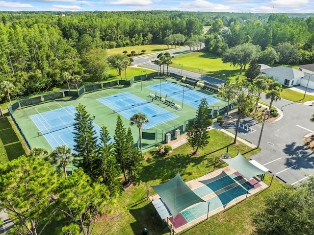 7606 Berna Ln, Land O Lakes, FL 34637 - aerial view of a heavily wooded area