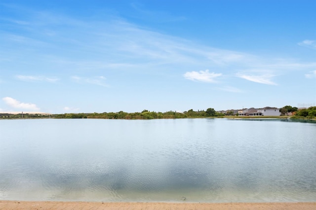 4743 Somerset Hill Ln, Riverview, FL 33578 - water view