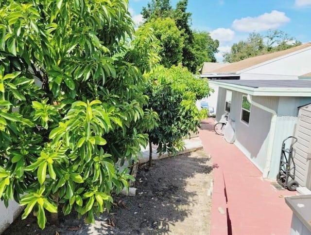 1918 Crown Park Dr, Valrico, FL 33594 - view of yard