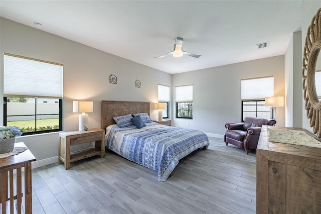 12652 Shetland Walk Dr, Lithia, FL 33547 - bedroom with wood finished floors and ceiling fan