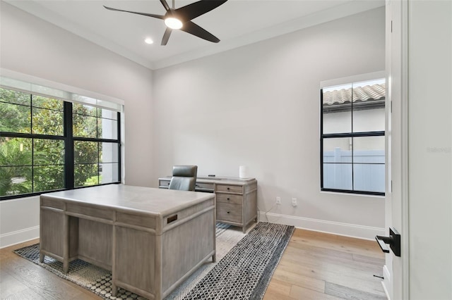 4109 W Inman Ave, Tampa, FL 33609 - photo 9