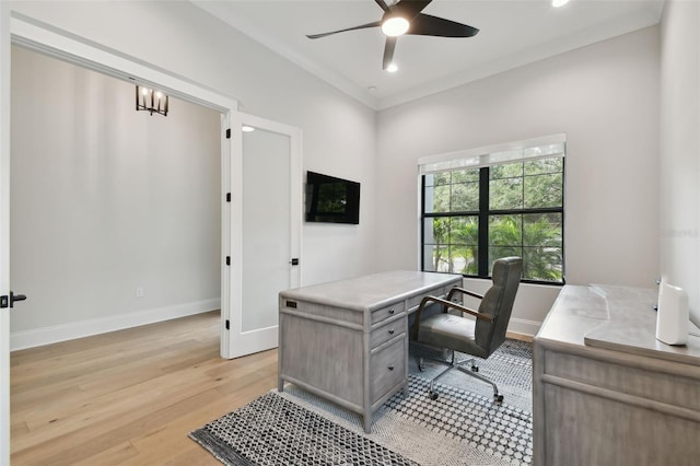 4109 W Inman Ave, Tampa, FL 33609 - photo 10