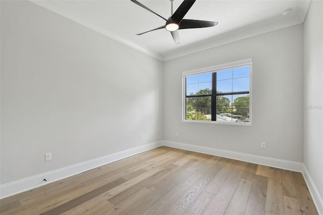 4109 W Inman Ave, Tampa, FL 33609 - photo 44