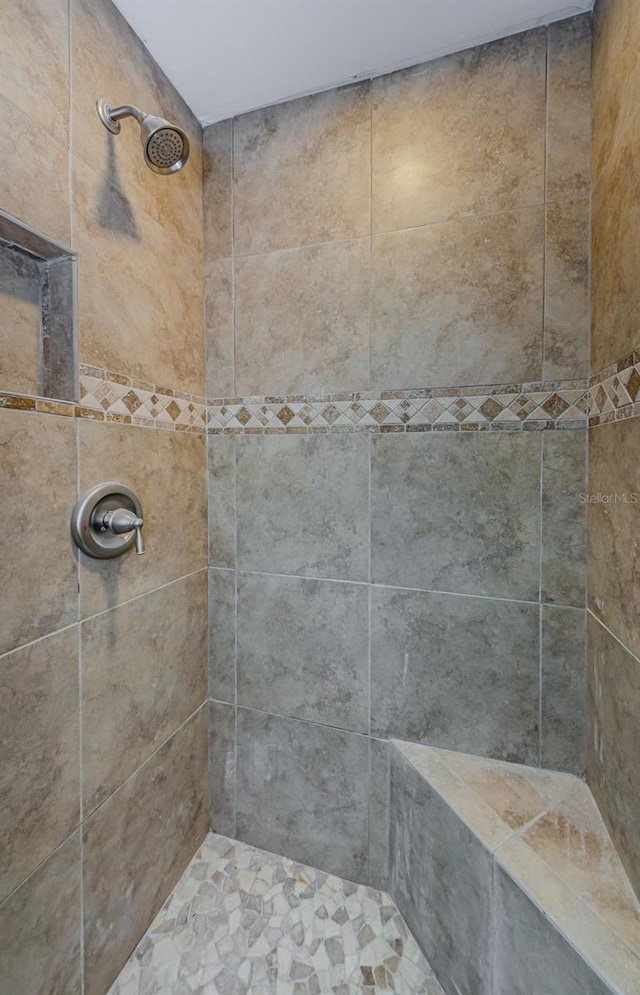 7332 Janczlik Dr, New Port Richey, FL 34652 - full bathroom with tiled shower
