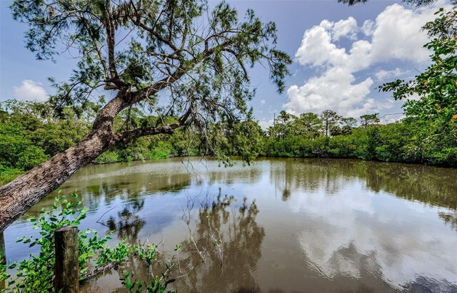 7332 Janczlik Dr, New Port Richey, FL 34652 - water view with a forest