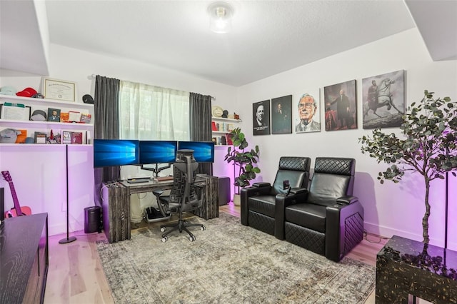 1802 Regal Mist Loop, Trinity, FL 34655 - office space with wood finished floors