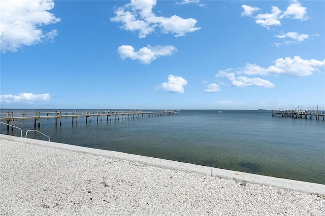 6418 Bright Bay Ct, Apollo Beach, FL 33572 - water view