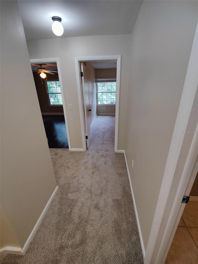 6214 Dewdrop Way Unit 621, Temple Terrace, FL 33617 - photo 15