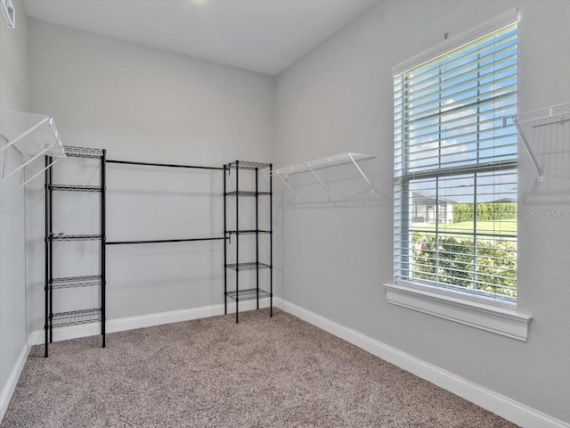 3544 Lakeside Heritage Dr, Lakeland, FL 33812 - photo 34