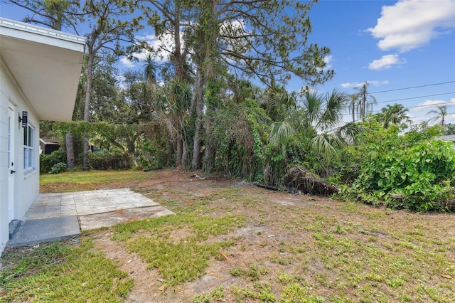 7704 Tanglewood Ln, Tampa, FL 33615 - photo 54