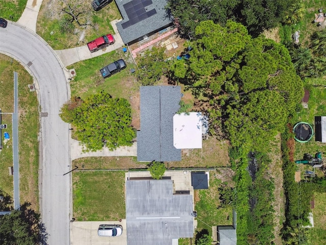 7704 Tanglewood Ln, Tampa, FL 33615 - photo 67