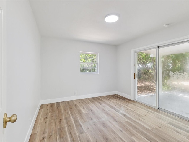1843 Berg Rd, Holiday, FL 34690 - photo 13