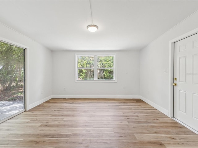 1843 Berg Rd, Holiday, FL 34690 - photo 21