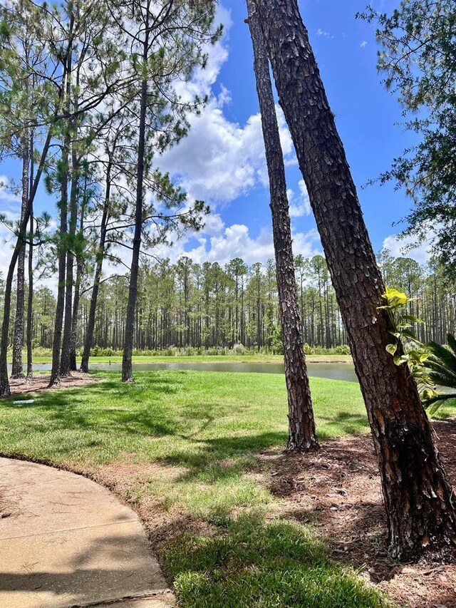 9481 Highland Oak Dr Unit 1101, Tampa, FL 33647 - photo 20