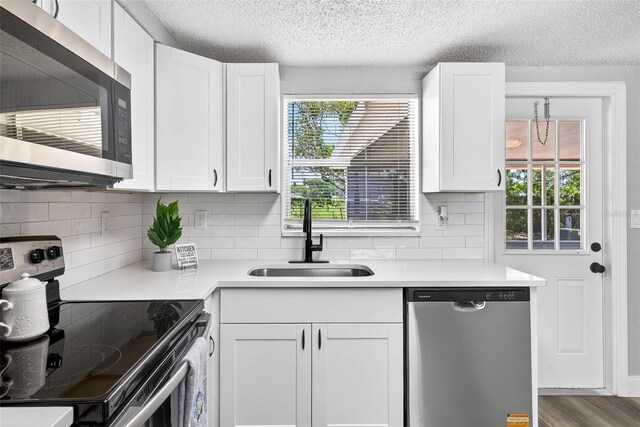 11520 Meadow Dr, Port Richey, FL 34668 - photo 10