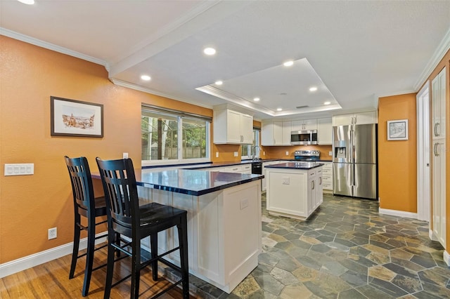 10053 W Bay St, Seminole, FL 33776 - kitchen with appliances with stainless steel finishes, crown molding, dark countertops, a peninsula, and white cabinetry