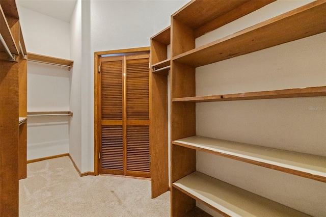 10053 W Bay St, Seminole, FL 33776 - spacious closet with carpet flooring